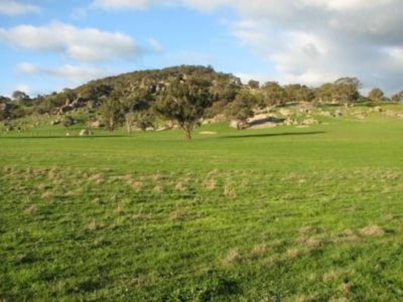 La Paloma Darbys Falls Road (Darbys Falls), Cowra NSW 2794