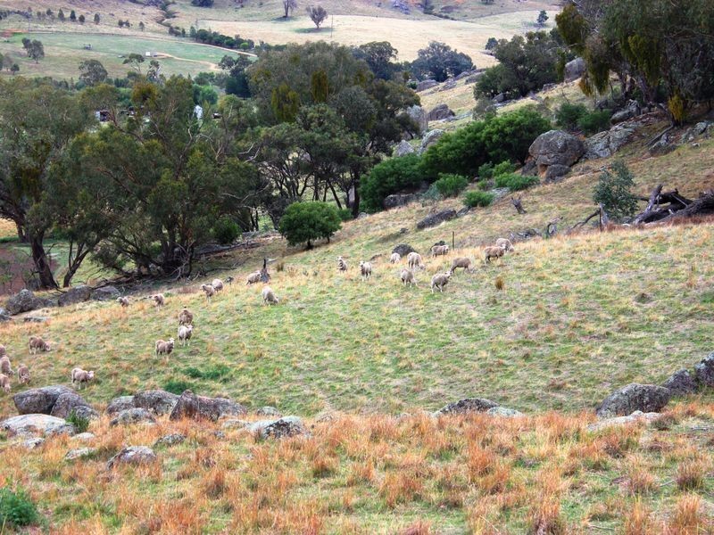 La Paloma Darbys Falls Road (Darbys Falls), Cowra NSW 2794