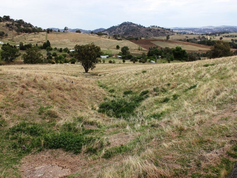 La Paloma Darbys Falls Road (Darbys Falls), Cowra NSW 2794