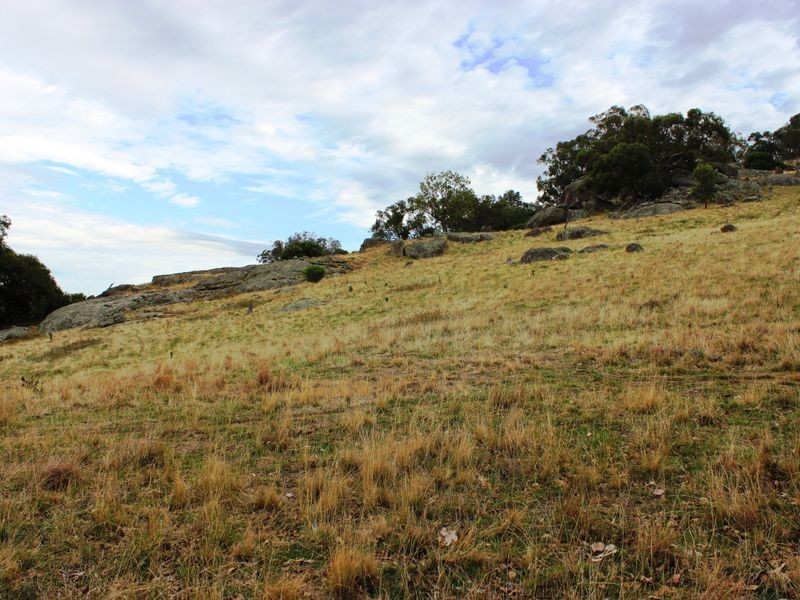 La Paloma Darbys Falls Road (Darbys Falls), Cowra NSW 2794