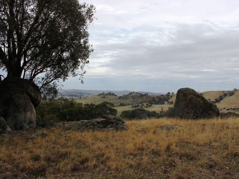 La Paloma Darbys Falls Road (Darbys Falls), Cowra NSW 2794