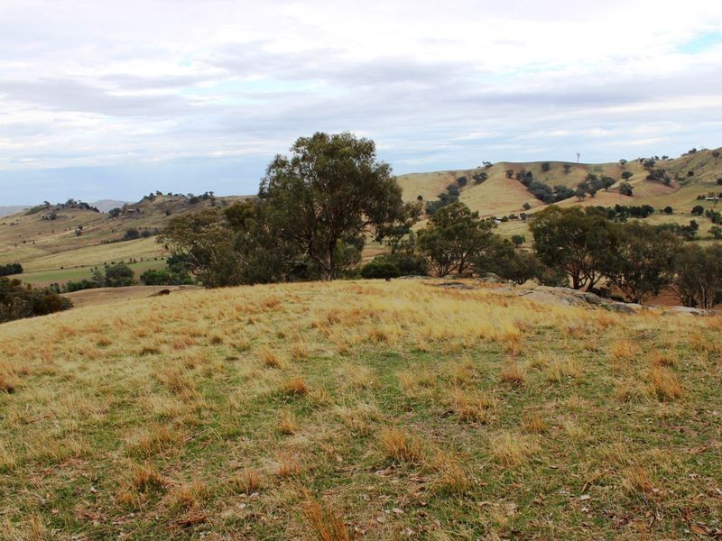 La Paloma Darbys Falls Road (Darbys Falls), Cowra NSW 2794