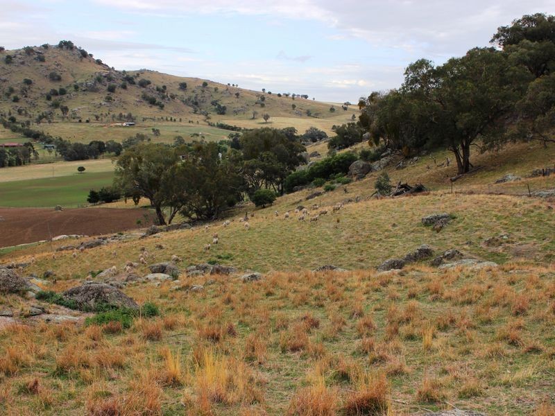 La Paloma Darbys Falls Road (Darbys Falls), Cowra NSW 2794