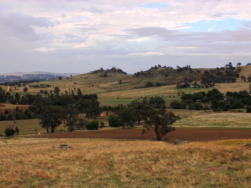 La Paloma Darbys Falls Road (Darbys Falls), Cowra NSW 2794