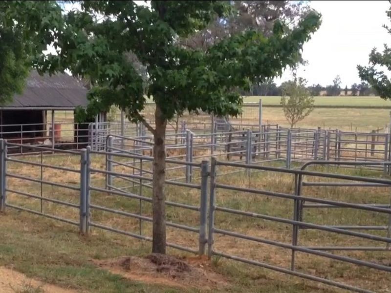 . RIVER PARK   River Park Rd, Cowra NSW 2794