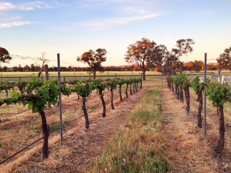 . RIVER PARK   River Park Rd, Cowra NSW 2794