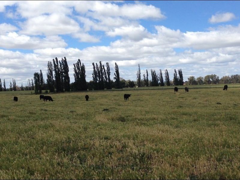 . RIVER PARK   River Park Rd, Cowra NSW 2794