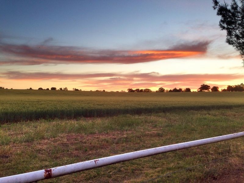 … RIVER PARK   River Park Rd, Cowra NSW 2794