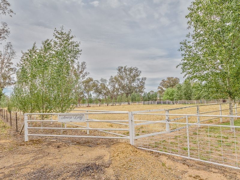 161 Olympic Highway (Wattamondara via Cowra), Cowra NSW 2794