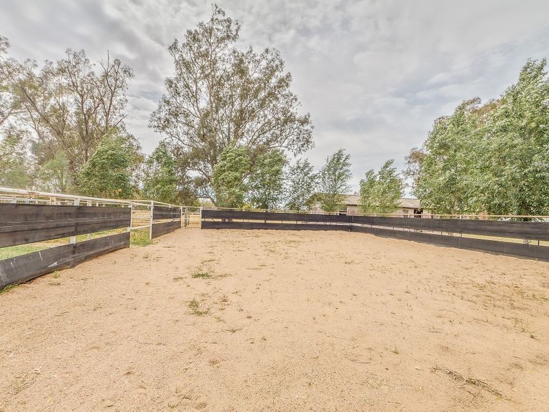 161 Olympic Highway (Wattamondara via Cowra), Cowra NSW 2794