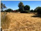 90 Grenfell Road, Cowra NSW 2794