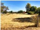 90 Grenfell Road, Cowra NSW 2794