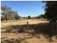 90 Grenfell Road, Cowra NSW 2794
