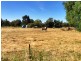 4 Hassan Street, Cowra NSW 2794