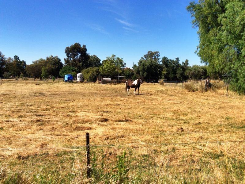 4 Hassan Street, Cowra NSW 2794