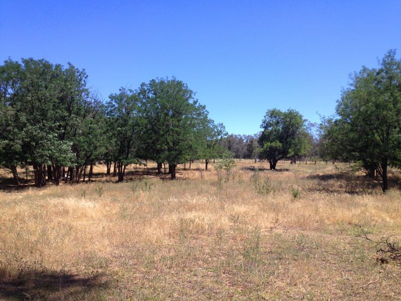 122 – 125 Mid Western Highway (BUMBALDRY VIA COWRA, Cowra NSW 2794