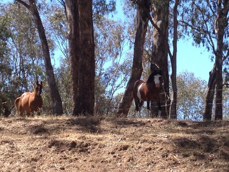 122 – 125 Mid Western Highway (BUMBALDRY VIA COWRA, Cowra NSW 2794