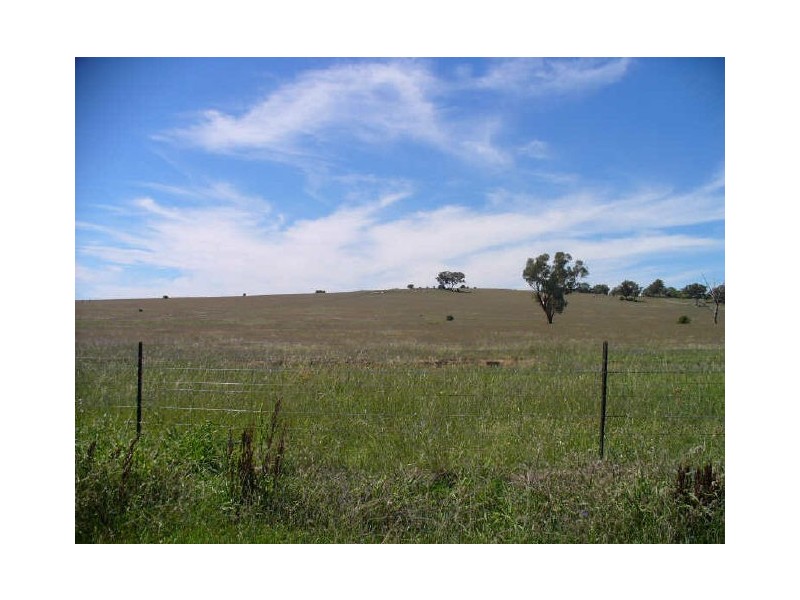 12 Pridham Street, Cowra NSW 2794