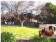 6470 Lachlan Valley Way, Cowra NSW 2794