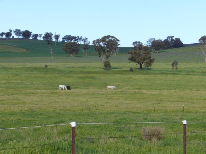 6470 Lachlan Valley Way, Cowra NSW 2794