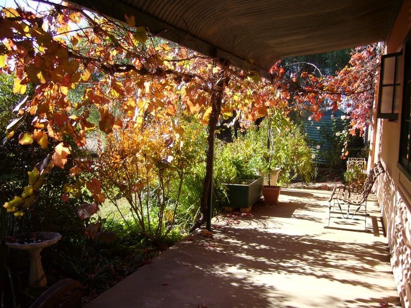 6470 Lachlan Valley Way, Cowra NSW 2794