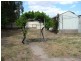 17 Nelson Street, Cowra NSW 2794