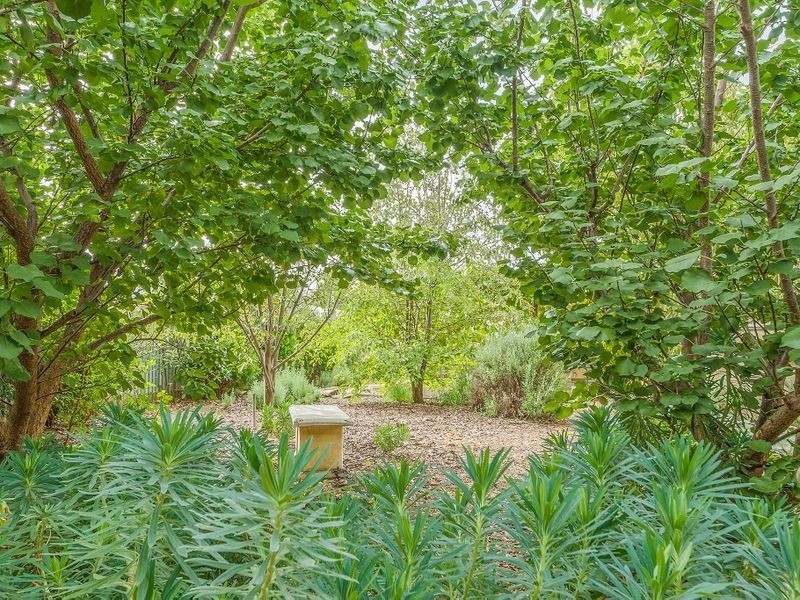 53 Darling Avenue, Cowra NSW 2794