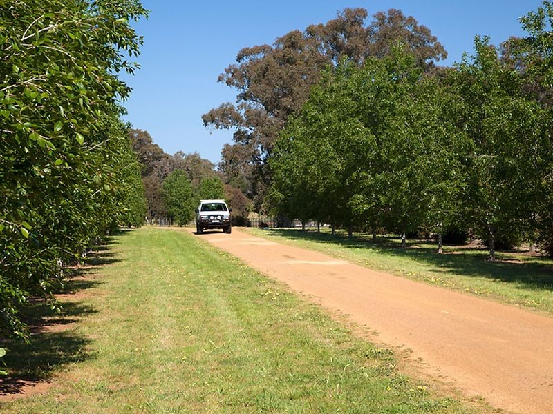 27 Battalion Drive, Cowra NSW 2794