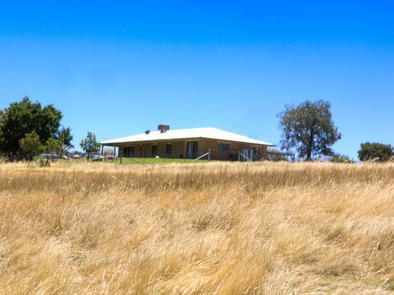 1518 Darby’s Falls Road, Cowra NSW 2794