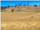 1518 Darby’s Falls Road, Cowra NSW 2794