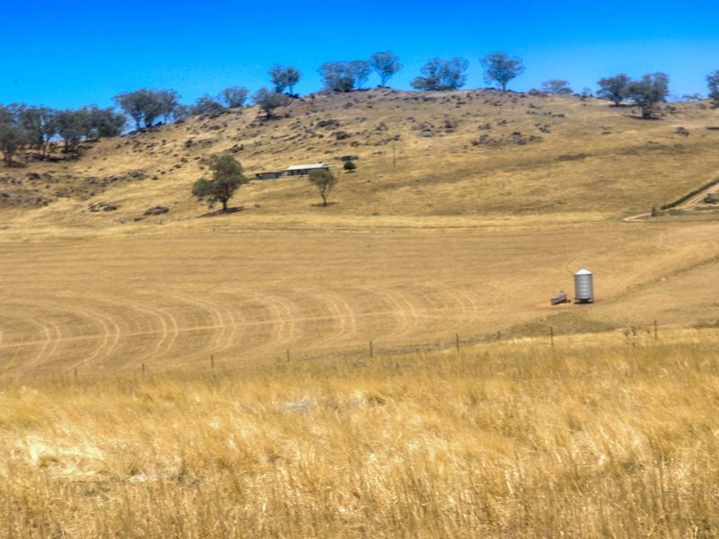 1518 Darby’s Falls Road, Cowra NSW 2794