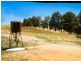 1518 Darby’s Falls Road, Cowra NSW 2794