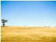 1518 Darby’s Falls Road, Cowra NSW 2794