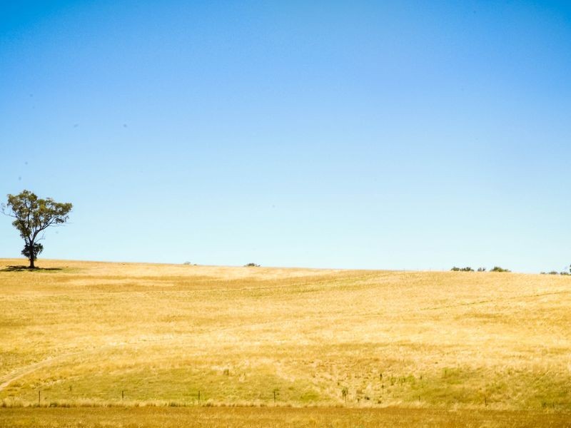 1518 Darby’s Falls Road, Cowra NSW 2794