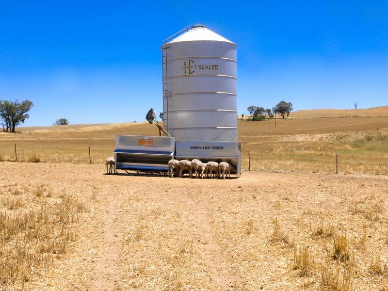 1518 Darby’s Falls Road, Cowra NSW 2794