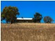 1518 Darby’s Falls Road, Cowra NSW 2794