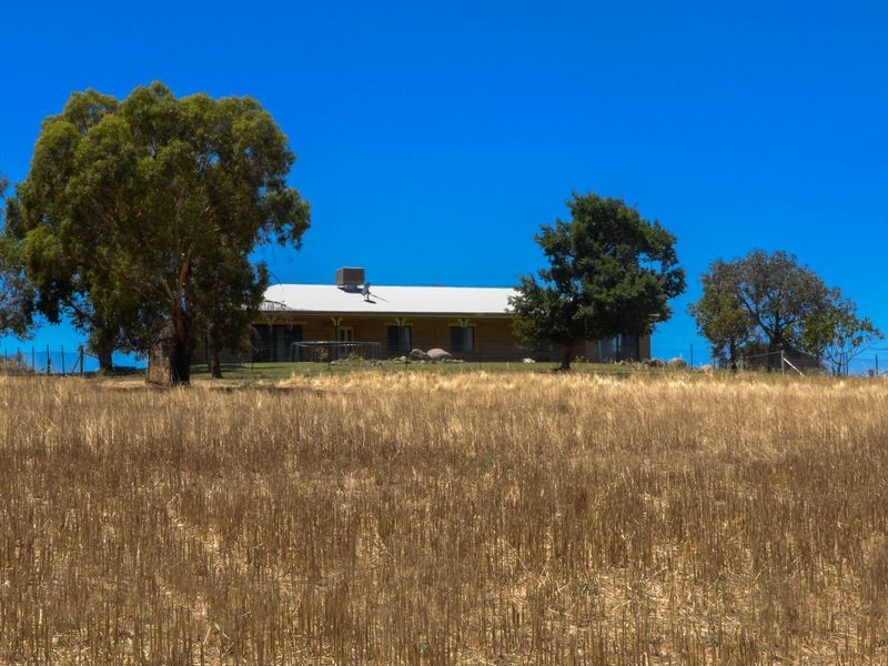 1518 Darby’s Falls Road, Cowra NSW 2794