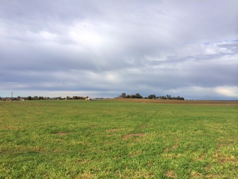 Lot 2 Rothbury Road, Cowra NSW 2794