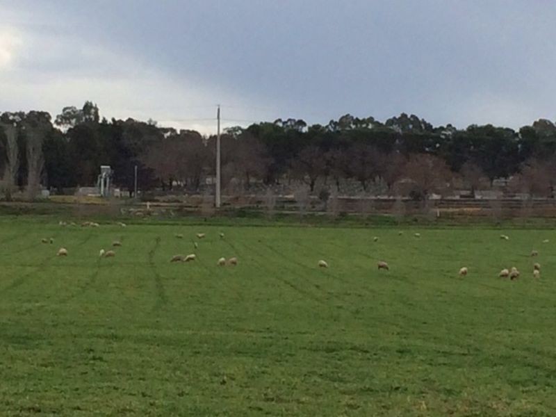 Lot 2 Rothbury Road, Cowra NSW 2794