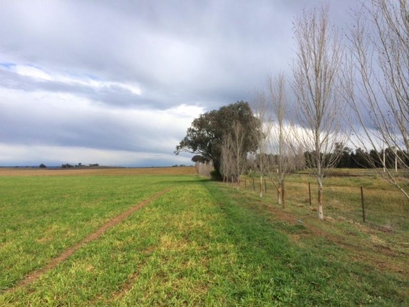 Lot 2 Rothbury Road, Cowra NSW 2794