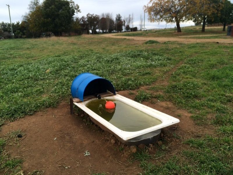 Lot 2 Rothbury Road, Cowra NSW 2794