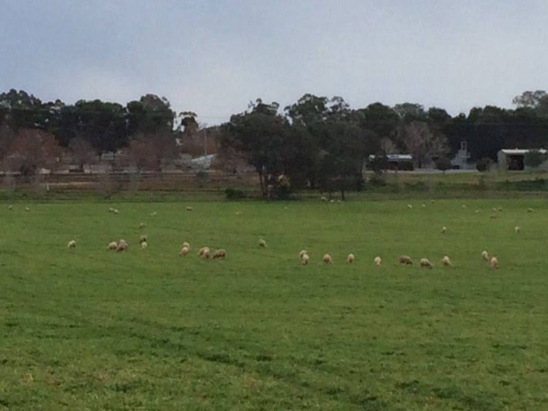 Lot 2 Rothbury Road, Cowra NSW 2794