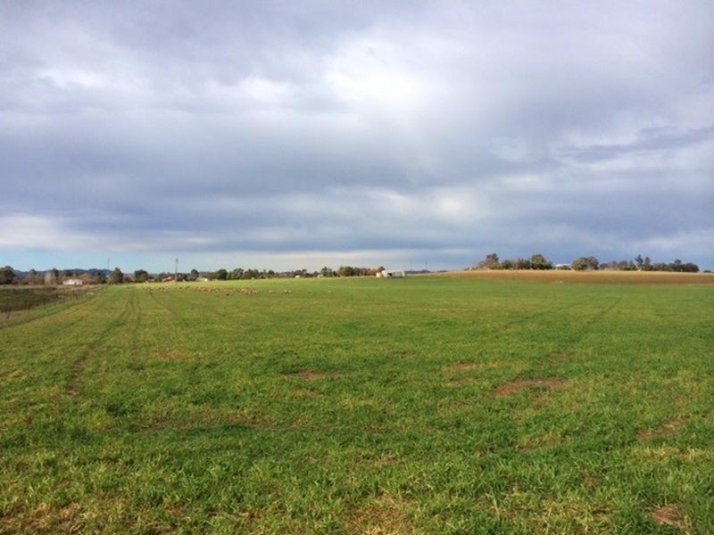 Lot 2 Rothbury Road, Cowra NSW 2794