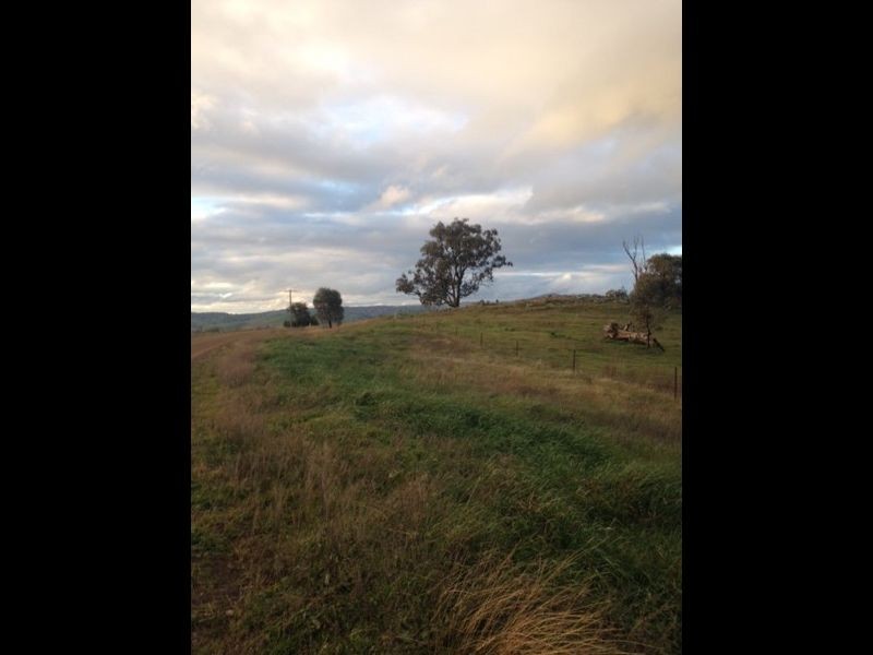 152 Wianamatta Road, Canowindra NSW 2804