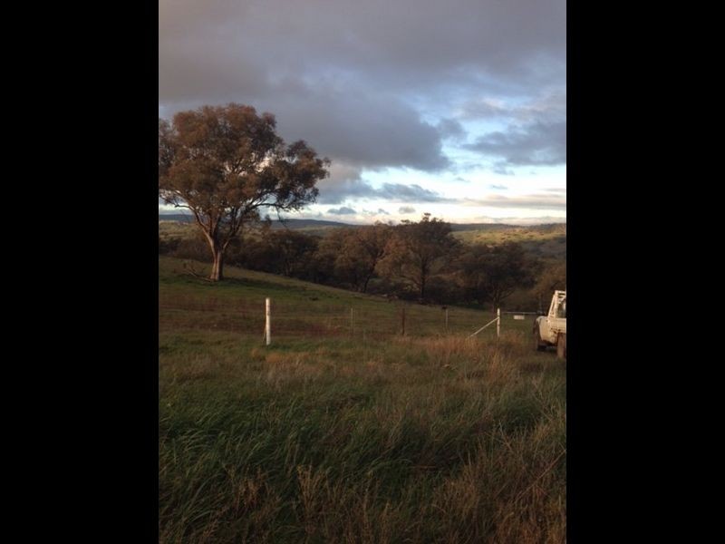 152 Wianamatta Road, Canowindra NSW 2804