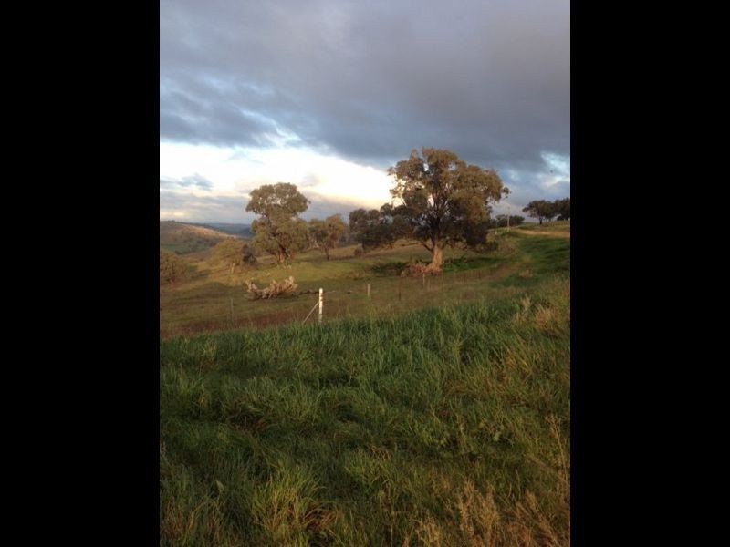 152 Wianamatta Road, Canowindra NSW 2804