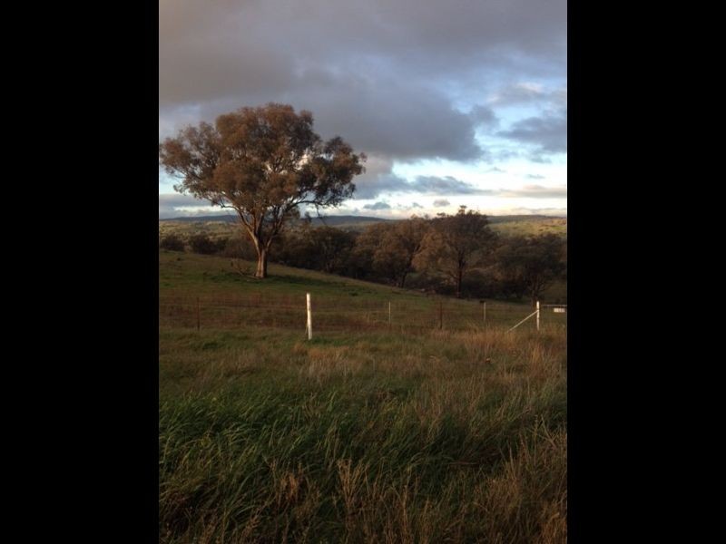 152 Wianamatta Road, Canowindra NSW 2804