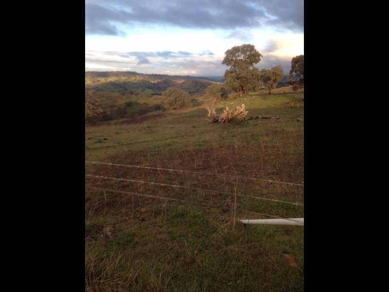 152 Wianamatta Road, Canowindra NSW 2804