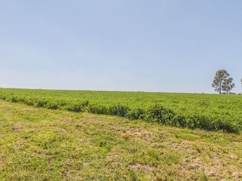 Woorara Pridham Street, Cowra NSW 2794