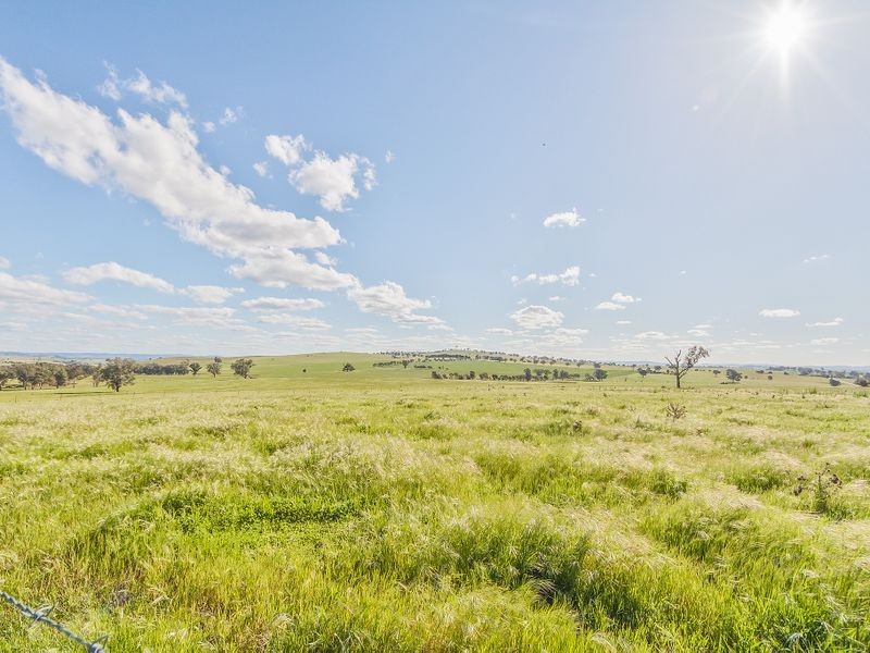 Minimbah/800 Pine Mount Rd (Woodstock) via, Cowra NSW 2794